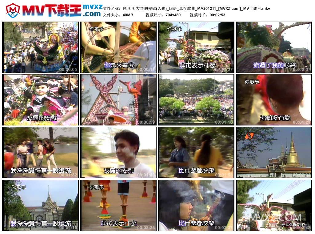 凤飞飞-友情的安慰(人物)_国语_流行歌曲_MA201211